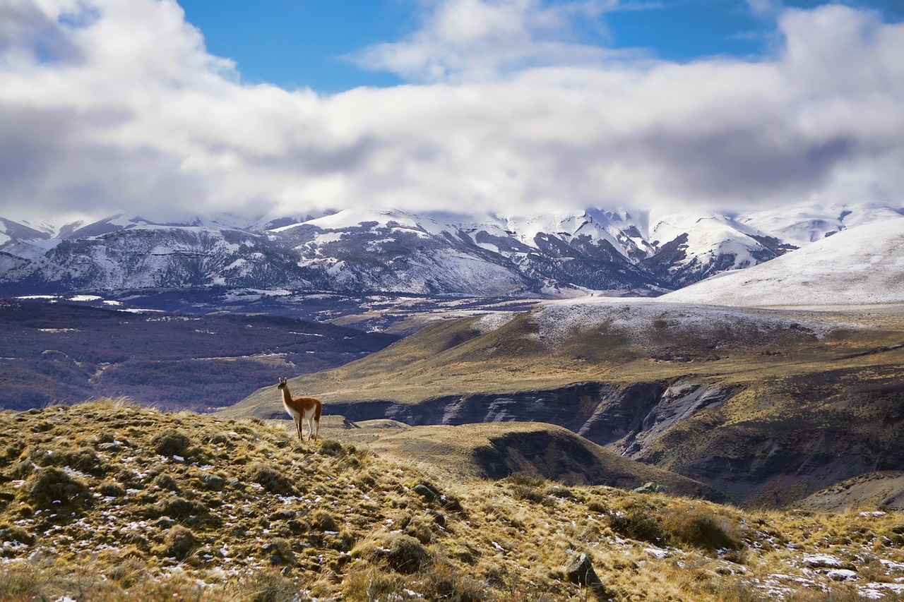 Quelle est la meilleure période de l'année pour partir en Patagonie ?